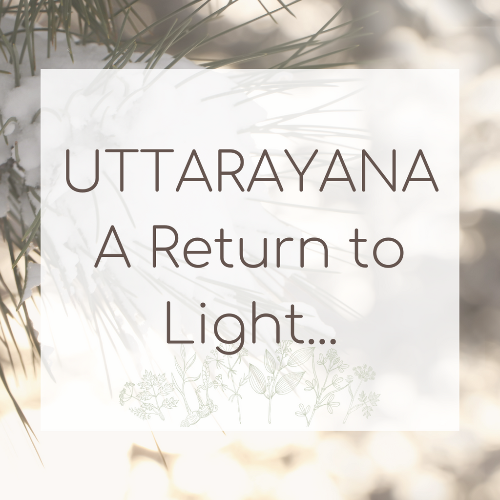 Uttarayana: A Return to the Light