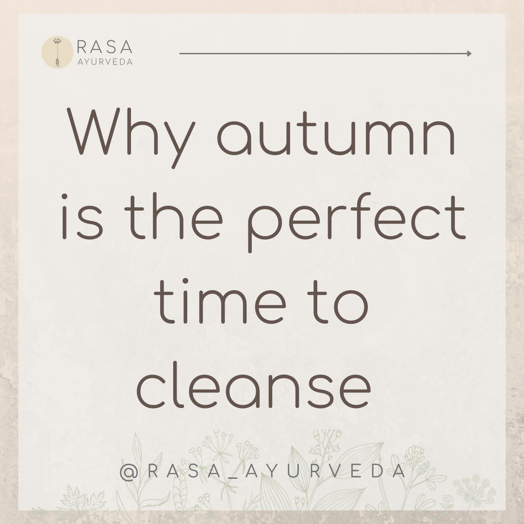 Why Autumn is the Perfect Time to Cleanse